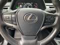 Lexus UX 250h UX 250 h 250h Style Edition 2xKlima ACC AUT Kam. Schwarz - thumbnail 17