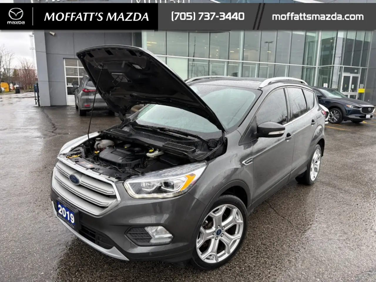 Ford Escape снимка Ford Escape
