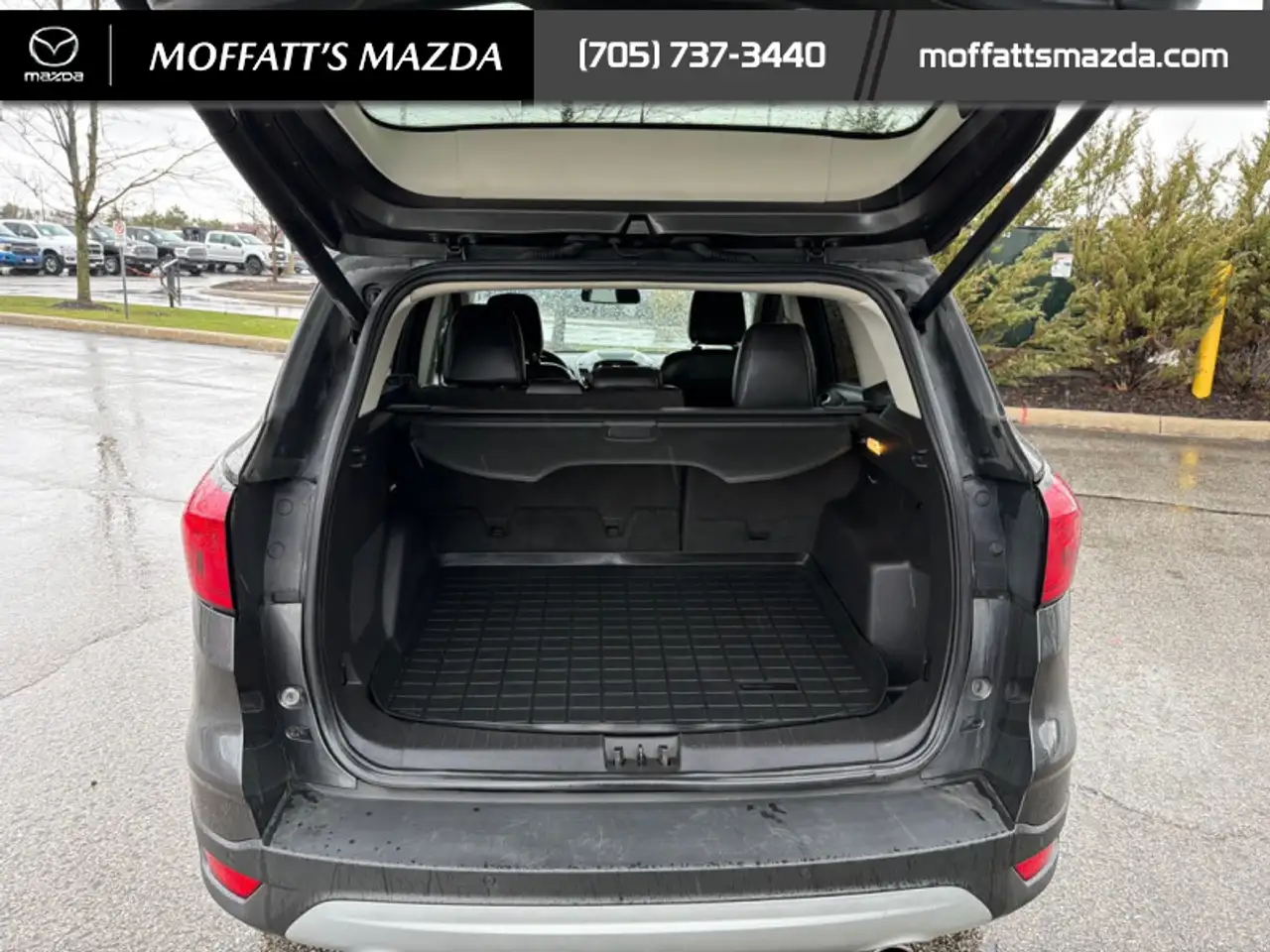 Ford Escape снимка Ford Escape