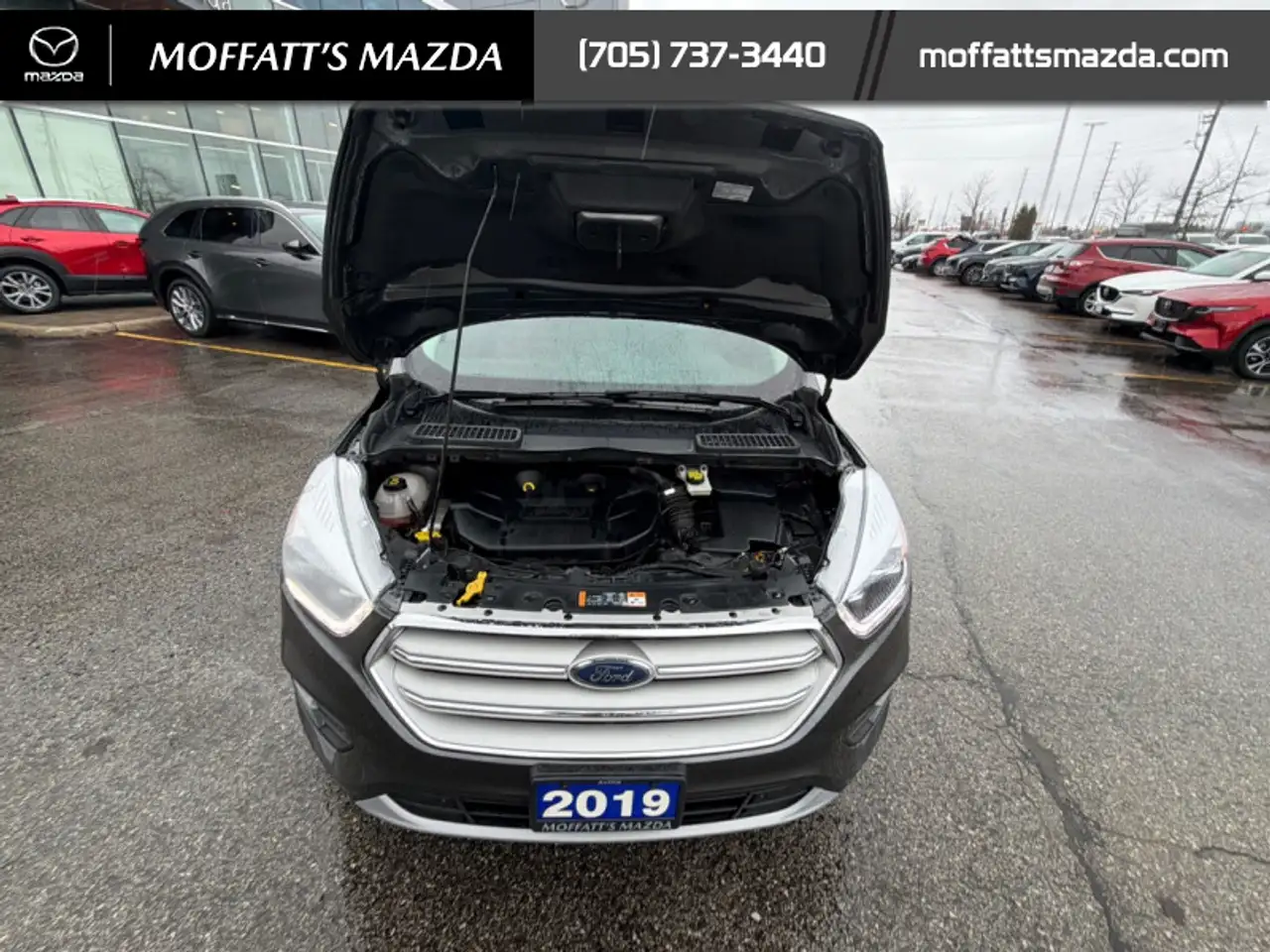 Ford Escape снимка Ford Escape
