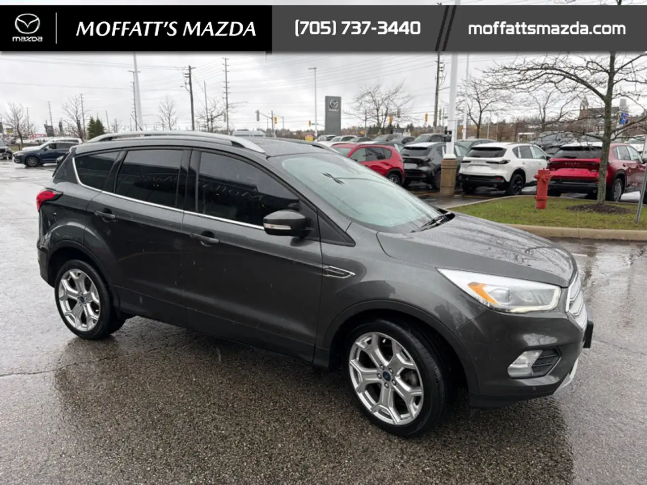 Ford Escape снимка Ford Escape