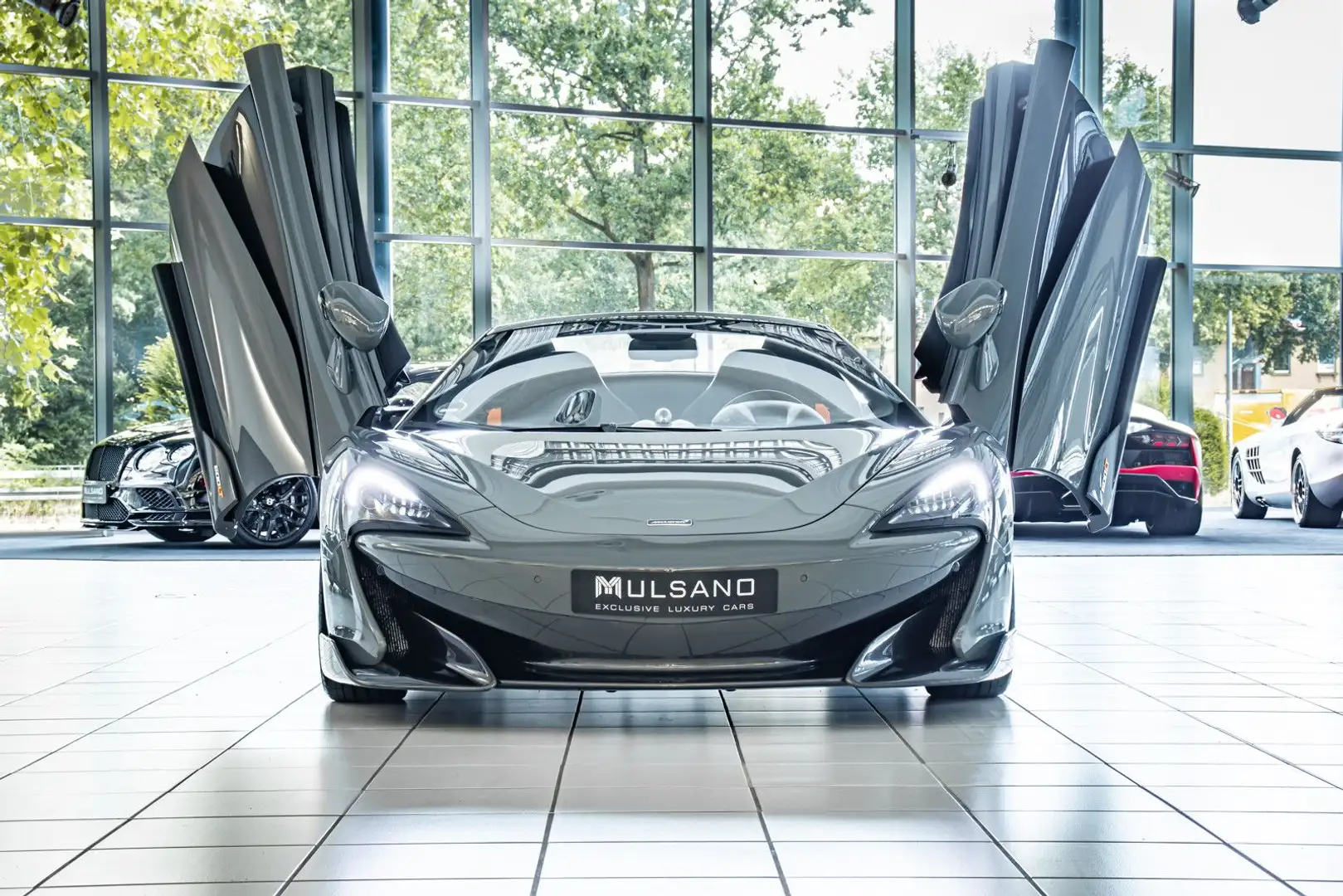 McLaren 600LT SPIDER GARANTIE KERAMIK CARBON KAMERA LIFT Gris - 2