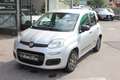 Fiat Panda Panda 1.2 Young 69CV NEOPATENTATI Grigio - thumbnail 1