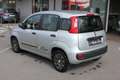 Fiat Panda Panda 1.2 Young 69CV NEOPATENTATI Grigio - thumbnail 6