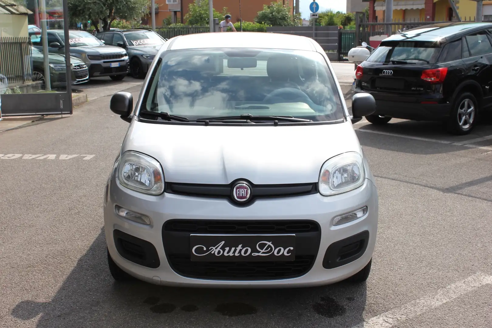 Fiat Panda Panda 1.2 Young 69CV NEOPATENTATI Grigio - 2