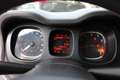 Fiat Panda Panda 1.2 Young 69CV NEOPATENTATI Grigio - thumbnail 10
