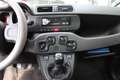 Fiat Panda Panda 1.2 Young 69CV NEOPATENTATI Grigio - thumbnail 12