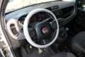 Fiat Panda Panda 1.2 Young 69CV NEOPATENTATI Grigio - thumbnail 9