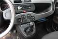 Fiat Panda Panda 1.2 Young 69CV NEOPATENTATI Grigio - thumbnail 11