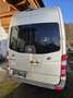 Mercedes-Benz Sprinter Sprinter 215 CDI HD 3,0 t / 3.665 mm Aut. - thumbnail 6