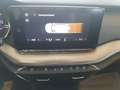 Skoda Octavia Kombi 2,0 TDI Ambition DSG Grau - thumbnail 24