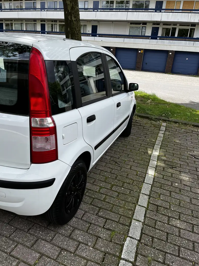 Fiat Panda 1.1 Active Bílá - 2