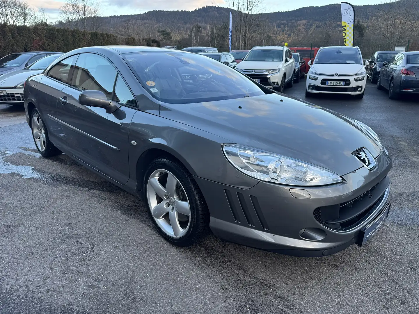 Peugeot 407 2.7 V6 HDI NAVTEQ BAA FAP Gris - 2