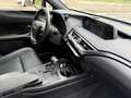 Lexus UX 250h MIDNIGHT hybrid ibrida Grigio - thumbnail 3