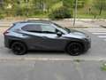 Lexus UX 250h MIDNIGHT hybrid ibrida Grigio - thumbnail 8