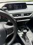 Lexus UX 250h MIDNIGHT hybrid ibrida Grigio - thumbnail 11