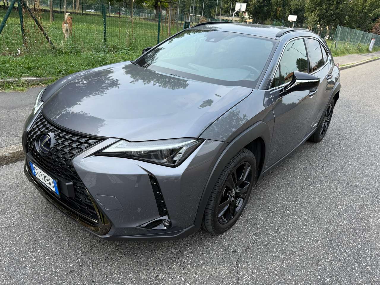 Lexus UX 250h MIDNIGHT hybrid ibrida