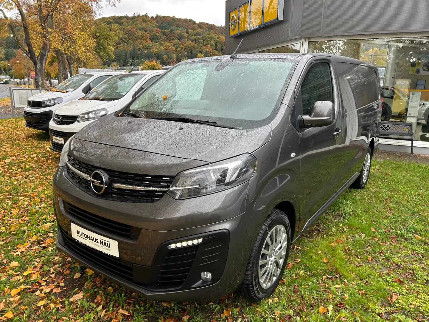 Opel Vivaro Cargo Edition L Gris - 2