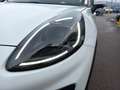 Ford Puma TITANIUM 125 PS EcoBoost/Benzin Mild-Hybrid (PR... Weiß - thumbnail 7