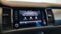 Skoda Kodiaq 2.0 TDI EVO SCR DSG Executive Verde - thumbnail 10