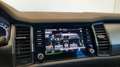 Skoda Kodiaq 2.0 TDI EVO SCR DSG Executive Verde - thumbnail 14