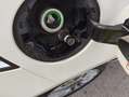 Lancia Ypsilon 0.9 twin air gold impianto a metano Bianco - thumbnail 13
