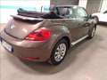 Volkswagen Maggiolino 1.2 TSI CABRIO DESIGN Brun - thumbnail 14