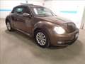Volkswagen Maggiolino 1.2 TSI CABRIO DESIGN Brun - thumbnail 24