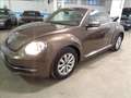 Volkswagen Maggiolino 1.2 TSI CABRIO DESIGN Brun - thumbnail 4