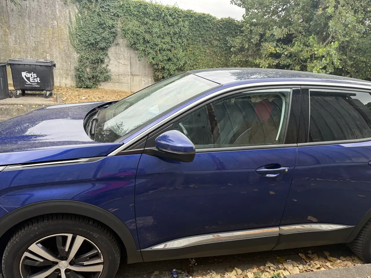 Peugeot 3008 3008 — photo 6