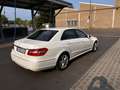 Mercedes-Benz E 220 T CDI DPF BlueEFFICIENCY 7G-TRONIC Elegance - thumbnail 12