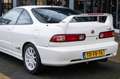 Honda Integra 1.8 Vtec Type R (new condition) Weiß - thumbnail 13