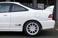 Honda Integra 1.8 Vtec Type R (new condition) Blanco - thumbnail 29