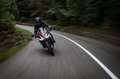 Aprilia RS 660 Top Zustand, 35 KW möglich Violett - thumbnail 18