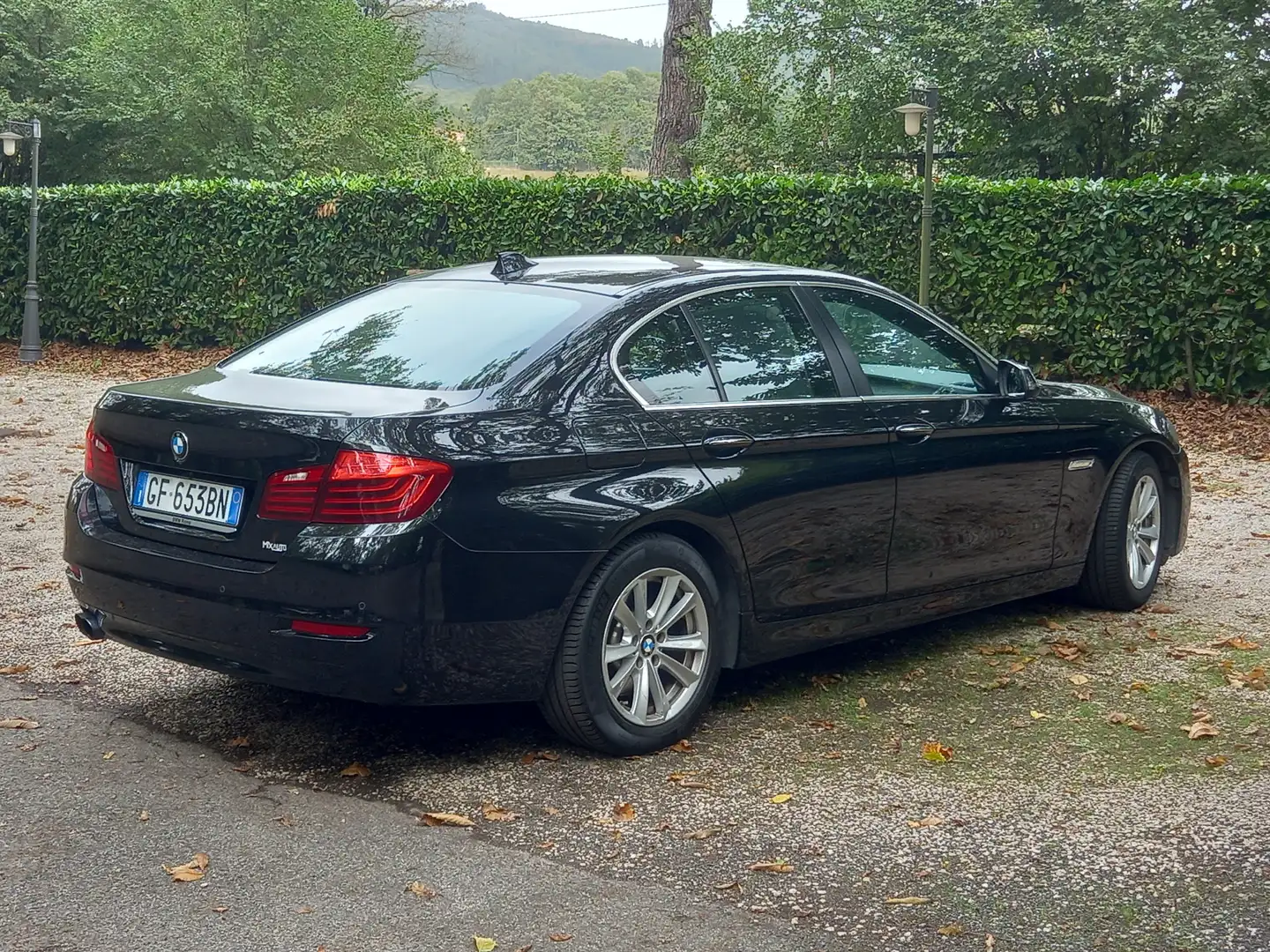 BMW 518 Serie 5 F10 Berlina 518d Business 150cv auto E6 - 1