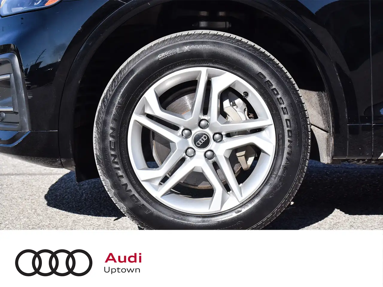 Audi Q5 снимка Audi Q5