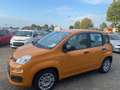 Fiat Panda 1.0 FireFly S&S Hybrid Arancione - thumbnail 6