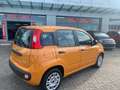 Fiat Panda 1.0 FireFly S&S Hybrid Arancione - thumbnail 4