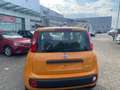 Fiat Panda 1.0 FireFly S&S Hybrid Arancione - thumbnail 3