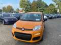 Fiat Panda 1.0 FireFly S&S Hybrid Arancione - thumbnail 5