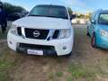 Nissan Navara Navara 2.5 dci d.cab Sport HARD TOP NO IVA Blanc - thumbnail 4