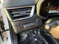 Renault Clio 1.0 SCE 65CV BUSINESS Bianco - thumbnail 19