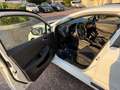 Renault Clio 1.0 SCE 65CV BUSINESS Bianco - thumbnail 11