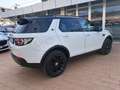 Land Rover Discovery Sport 2.0 TD4 150 Auto Business Edition Pure Weiß - thumbnail 5