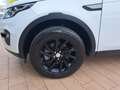 Land Rover Discovery Sport 2.0 TD4 150 Auto Business Edition Pure Weiß - thumbnail 25