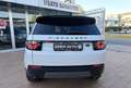 Land Rover Discovery Sport 2.0 TD4 150 Auto Business Edition Pure Weiß - thumbnail 7