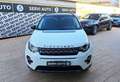 Land Rover Discovery Sport 2.0 TD4 150 Auto Business Edition Pure Weiß - thumbnail 2