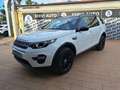 Land Rover Discovery Sport 2.0 TD4 150 Auto Business Edition Pure Weiß - thumbnail 4