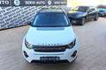Land Rover Discovery Sport 2.0 TD4 150 Auto Business Edition Pure Weiß - thumbnail 3