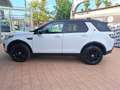 Land Rover Discovery Sport 2.0 TD4 150 Auto Business Edition Pure Weiß - thumbnail 8
